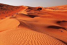Das Königreich Oman zu Fuß entdecken - Wahiba Sands
