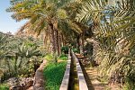 Das Königreich Oman zu Fuß entdecken