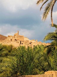 Oman entdecken - Birkat Al Mouz