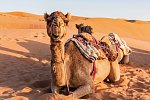 Oman entdecken