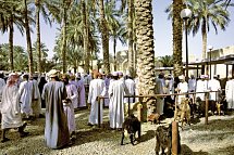 Oman entdecken - Nizwa