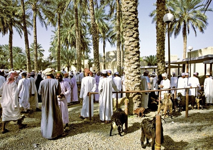Oman entdecken