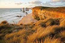 Great Ocean Road & Beyond - 12 Apostles, Great Ocean Road