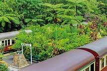 Vielfalt Australien & Ostküste - Kuranda