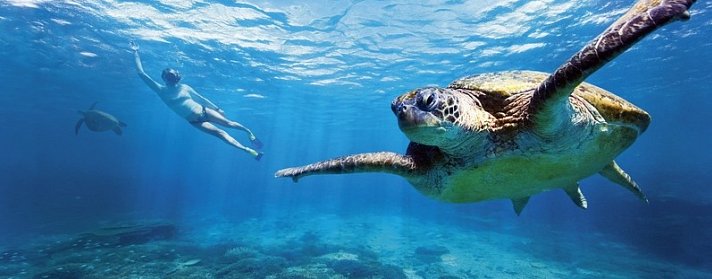 Best of Australia