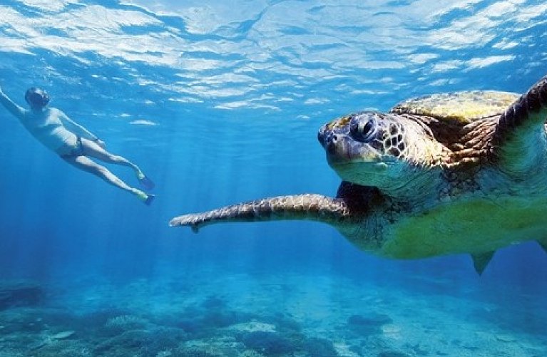 Best of Australia