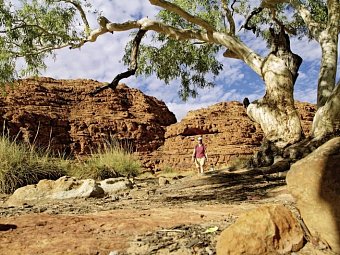 Australiens Glanzpunkte & Great Ocean Road - Kings Canyon, Watarrka Nationalpark