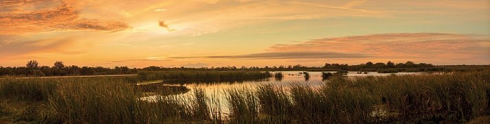 Florida Intensiv - Everglades Nationalpark