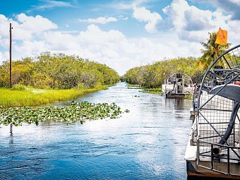 Florida Intensiv - Everglades Nationalpark