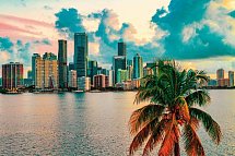 Florida Sunshine State & Beach (Superior-Variante, City View) - Miami