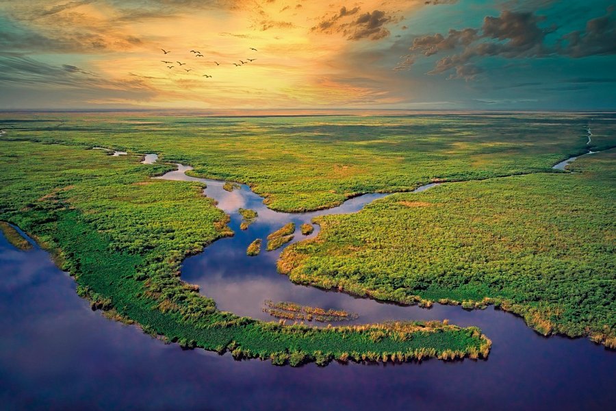 Florida Sunshine State & Beach (Superior-Variante, City View) - Everglades Nationalpark