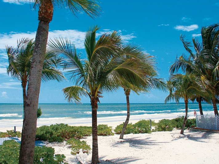 Florida Sunshine State & Beach (Superior-Variante, Ocean View)