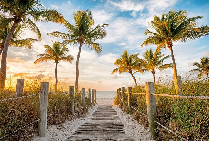 Florida Sunshine State Adventure