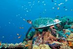 Embudu Village Maldives