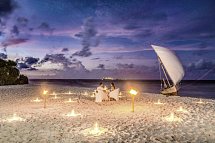 Malahini Kuda Bandos