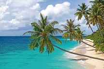 Reethi Faru Resort