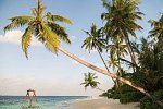 Reethi Faru Resort