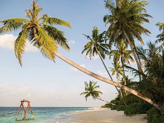 Reethi Faru Resort