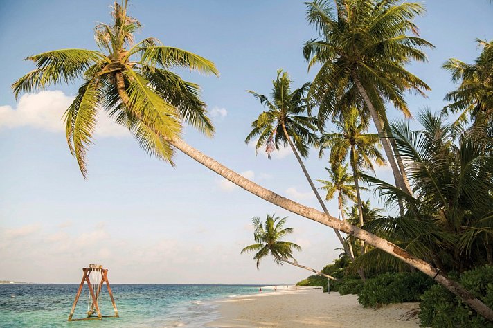 Reethi Faru Resort