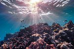 The Ritz-Carlton Maldives, Fari Islands