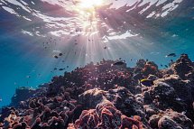 The Ritz-Carlton Maldives, Fari Islands