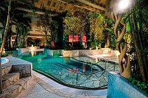 Center Parcs Park Allgäu - Deep Nature Spa