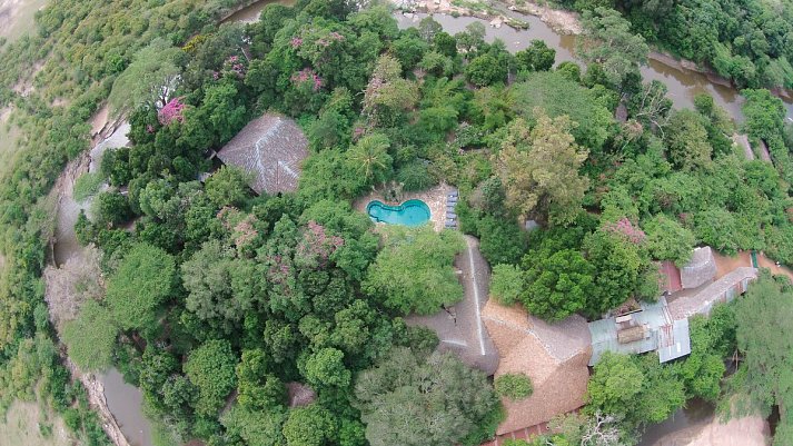 Masai Mara Fly-In Safari Superior ab/bis Nairobi - Mara Fig Tree Camp