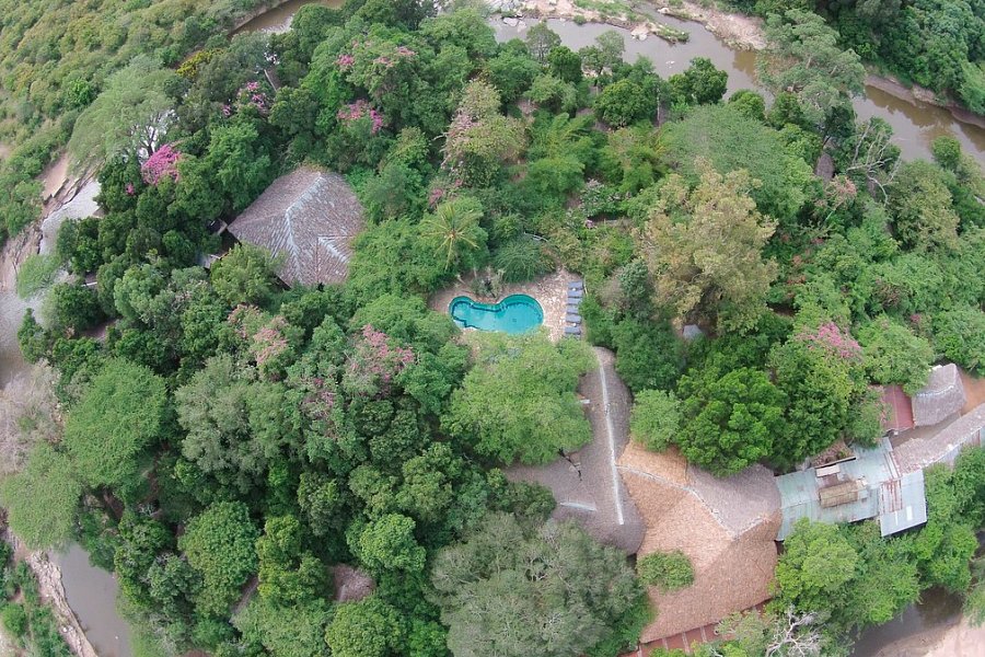 Masai Mara Fly-In Safari Superior ab/bis Nairobi - Mara Fig Tree Camp