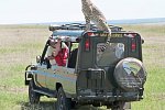 Masai Mara Fly-In Safari Superior ab/bis Nairobi