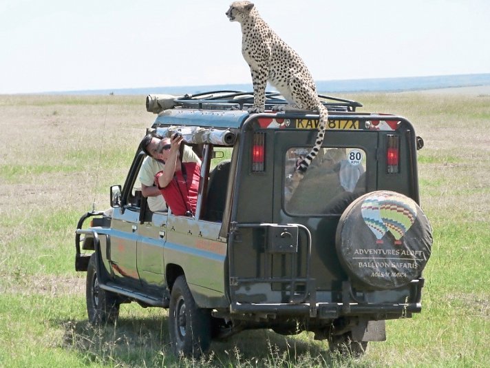 Masai Mara Fly-In Safari Superior ab/bis Nairobi