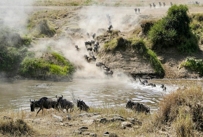 Drifters - Kenia & Tansania Explorer Camping - Wildtierwanderung