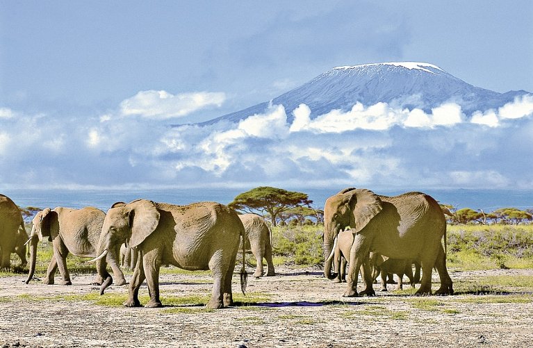 ADAC Special Kenia - Jenseits von Afrika