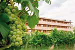 Sonnenhotel Weingut Römmert