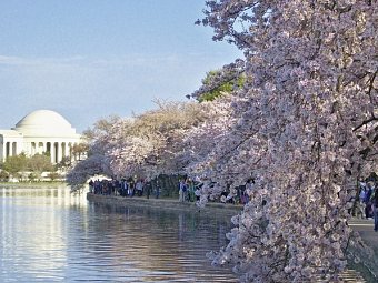 Bilderbogen des Ostens - Jefferson Memorial, Washington D.C.