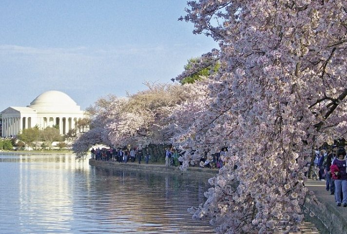 Bilderbogen des Ostens - Jefferson Memorial, Washington D.C.
