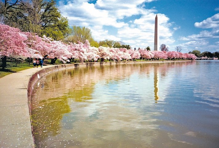 Eastcoast Explorer - Washington Monument, Washington D.C.