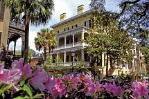 Eastcoast Explorer - Savannah