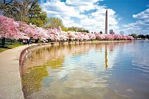 Eastcoast Explorer - Washington Monument, Washington D.C.