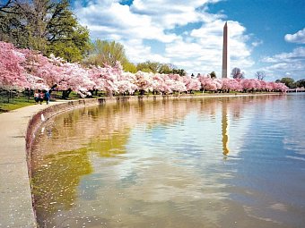 Eastcoast Explorer - Washington Monument, Washington D.C.
