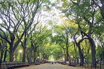 New York für Insider (7 Nächte) - Central Park