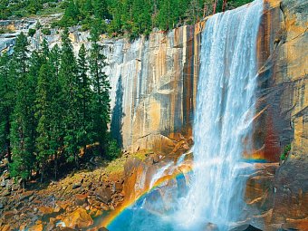 USA von Küste zu Küste (New York - San Francisco) - Yosemite Nationalpark