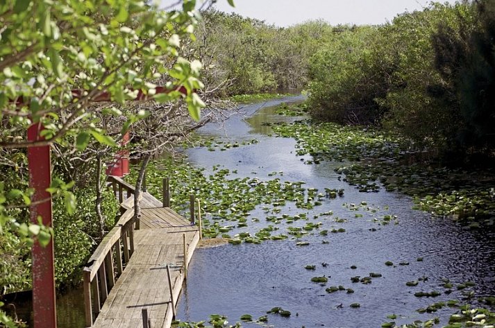 Manhattan Express & Florida Sunshine State inkl. Badeverlängerung (Standard) - Everglades
