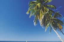 Manhattan Express & Florida Sunshine State inkl. Badeverlängerung (Superior-Variante, City View) - Ft. Myers Beach