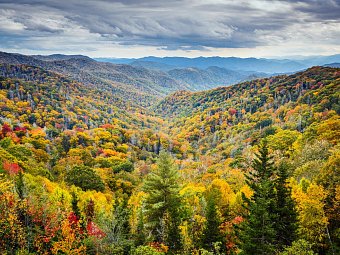 Megacity, Swing & Sun - Smoky Mountains Nationalpark