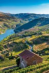 Portugals Highlights - Von Porto bis zur Algarve - Douro-Tal
