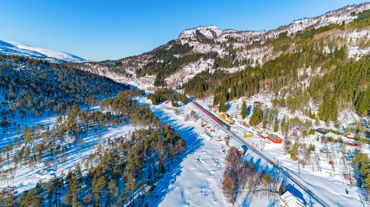 Erlebnis Bergenbahn
