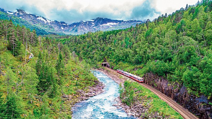 Erlebnis Bergenbahn im Sommer