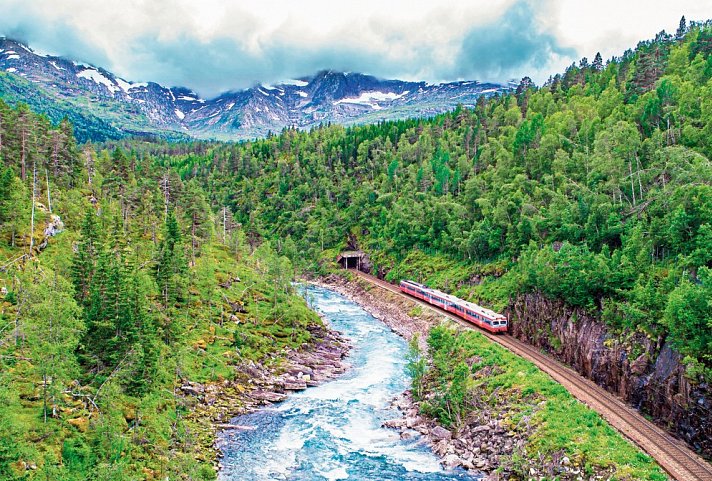 Erlebnis Bergenbahn im Sommer - Bergenbahn