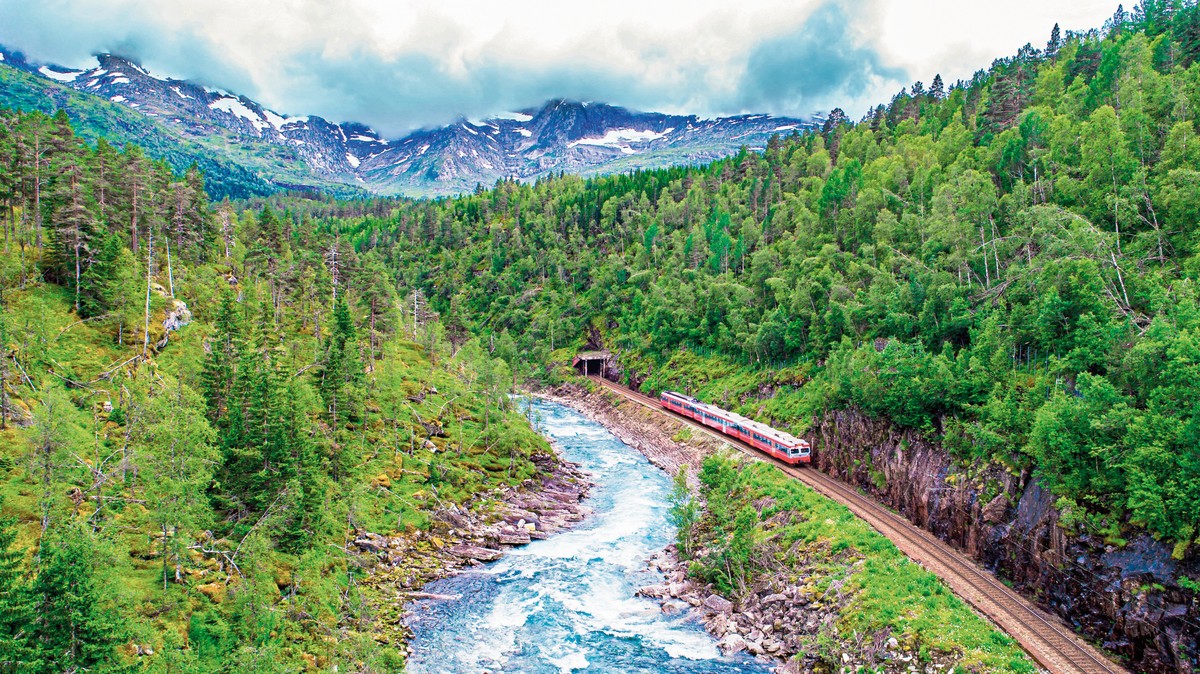 Erlebnis Bergenbahn im Sommer
