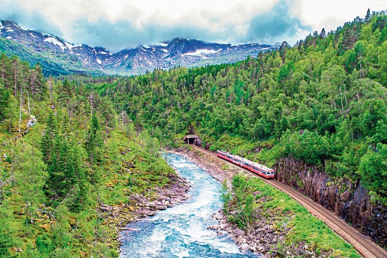 Erlebnis Bergenbahn im Sommer - Bergenbahn